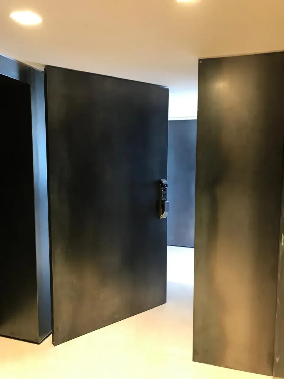 Puerta pivotante metálica de diseño minimalista